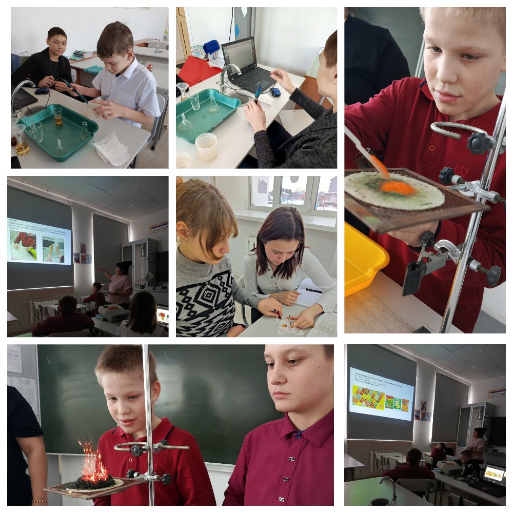 MyCollages (1) (1).jpg